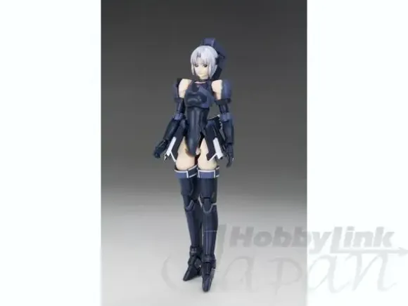 1/12 RAcaseal Shino Ver.APSY