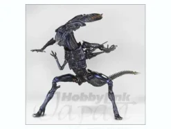 Sci-Fi Revoltech Alien Queen